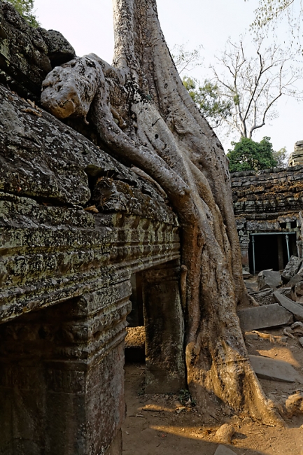 Ta Phrom et environs-103